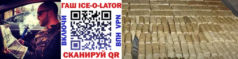 Купить Стародуб ГАШИШ гарик