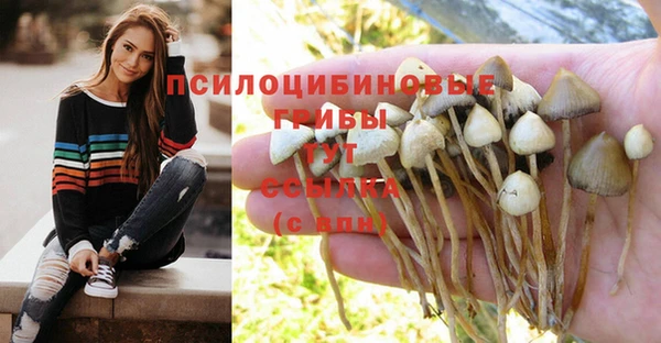mdpv Кодинск