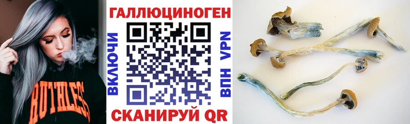 Галлюциногенные грибы Psilocybine cubensis Купить закладки Стародуб