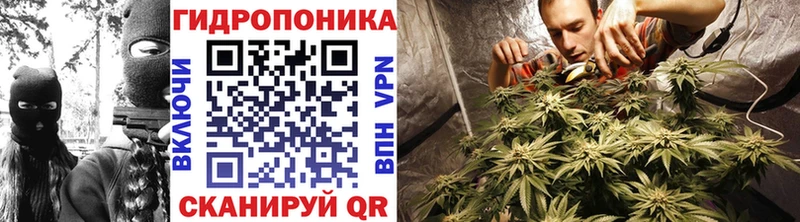 Купить закладки  Стародуб  Бошки Шишки AK-47 